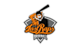 design classic baseball team club logo