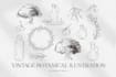 draw vintage botanical illustrations
