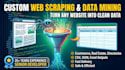 build a custom web scraper and data extraction script