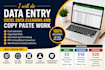 professional data entry and excel spreadsheet work