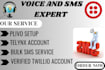setup telnyx twilio vonage plivo and bulk SMS services