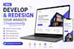 develop and redesign your website professionally