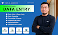 perform data entry, data cleaning and excel reporting