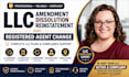 handle llc amendment, dissolution, reinstatement and registered agent change