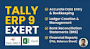 your tally erp 9 accountant and data entry expert