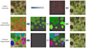 provide image annotation, data labeling, bounding box