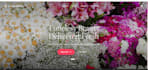 build a modern, responsive website using react and CSS
