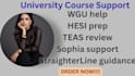 do umpi,wgu, nursing touchstone, sophia learning