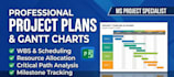create professional project plans using ms project