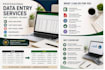 do accurate data entry and excel tasks