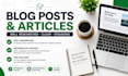 write well researched blog posts and articles