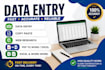 do data entry, data typing, copy paste and ms word work