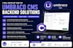 develop custom umbraco cms backend features and apis