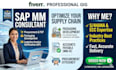 provide sap mm payable training procurement consulting packaging development