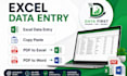 excel data entry, copy paste 2 PDF conversion expert