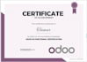 your odoo functional consultant and erp expert