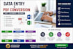 do data entry and pdf conversions