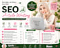 write SEO optimized articles to boost your website traffic