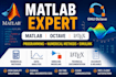 do matlab programming, numerical methods, octave and latex projects