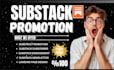 increase your substack engagement with targeted promotion