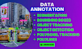 do professional ai data annotation and data labeling