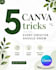 design professional instagram posts and carousel in canva