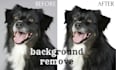 professional background removal, image cutout service