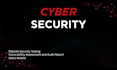 perform website security testing and audit report