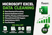 do excel data cleaning and formatting, excel data analysis
