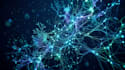 create unique ai generated abstract backgrounds and wallpapers
