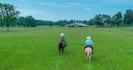 provide high quality content videos