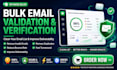 provide bulk email list validation service with full details