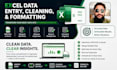 perform excel data cleaning, formatting and organizing