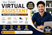 be creative virtual assistant, personal executive VA, social media admin, canva