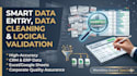 do smart data entry, data cleaning, and excel data validation