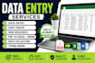 do accurate data entry, copy paste and web research