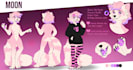 draw custom furry reference sheet fursona character art furry ref sheet oc