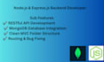 develop professional node js express backend with mongodb