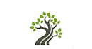 do a professional modern tree logo