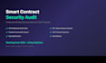 audit your smart contract for security