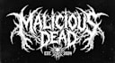 custom death metal, metalcore with texture and chrome effect