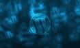 create a professional wordpress website for your business