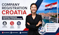 do croatia government contract research and tender proposal writing, application