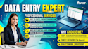 do data entry, pdf to excel, copy paste and web research