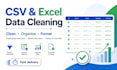 clean, organize, and format your CSV or excel file