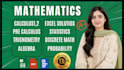 help in mathematics, statistics, programming and excel projects