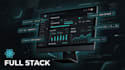 develop a professional website or web application