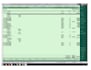 do accurate data entry, tally erp 9, virtual assistant task
