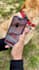 create high converting pet app promo and ugc video ads