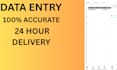 do manual data entry and excel work
